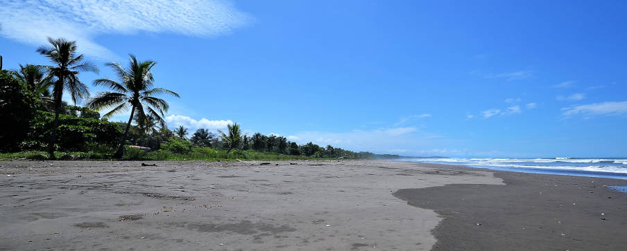 Eco-friendly real estate projects are multiplying in Esterillos, meeting a growing demand for sustainability.