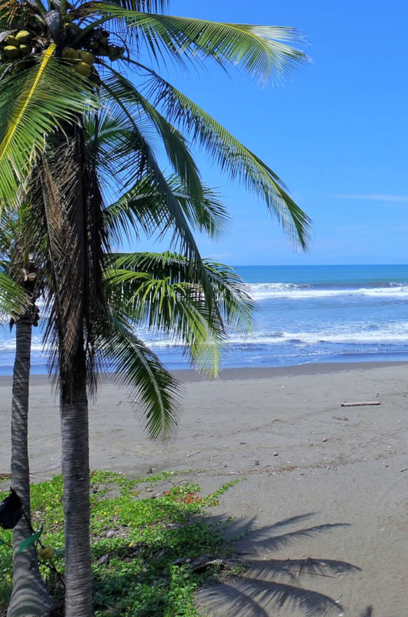 Esterillos est devenu une destination prisée pour ceux qui souhaitent investir dans immobilier côtier au Costa Rica. 